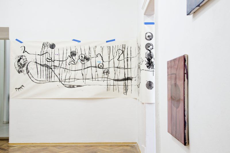 Installation view, The subject. Edges and bounds, AMT Project, 2016