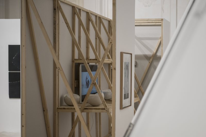 Neutrasomni, 2019