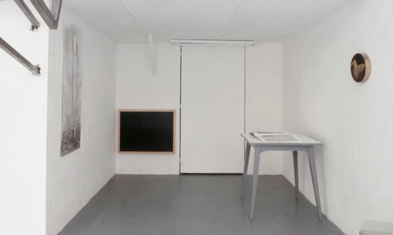 Installation view, Radicalm, 12-14 Schleifmühlgasse Gallery, 2013