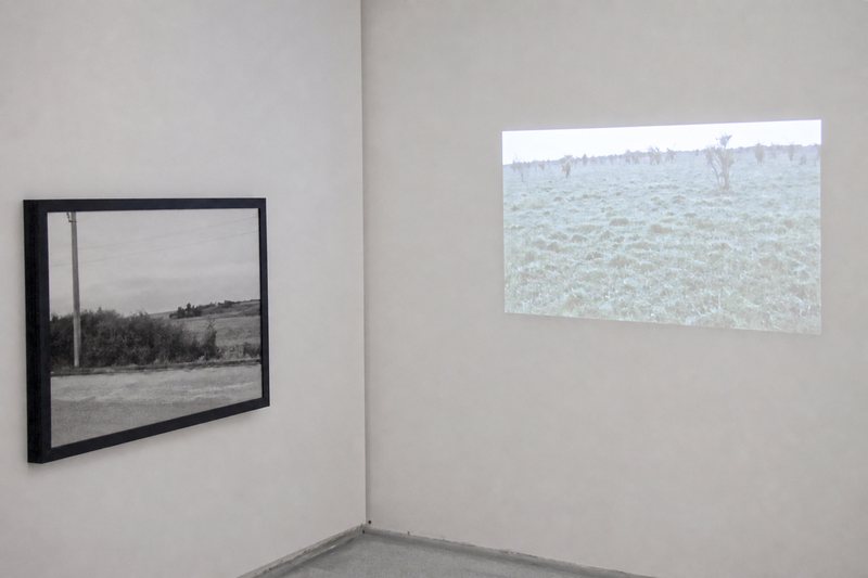 Photography  and Video Projection in the Gallery — installation view, The Great Blot, Recycle Nest Gallery, 2010