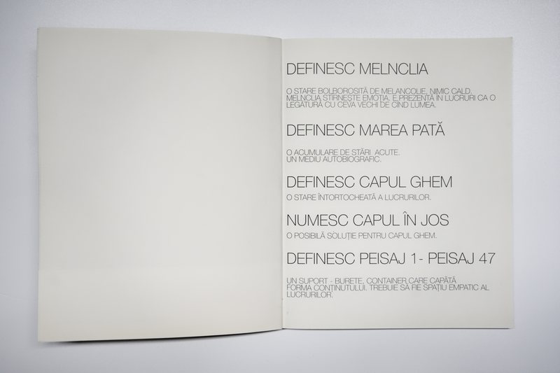 Page 3 of Marea Pată, 2010