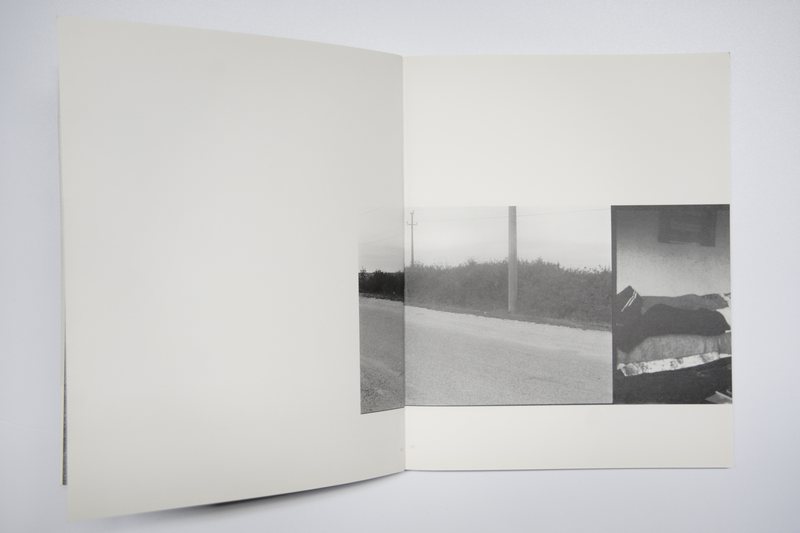 Page 5 of Marea Pată, 2010