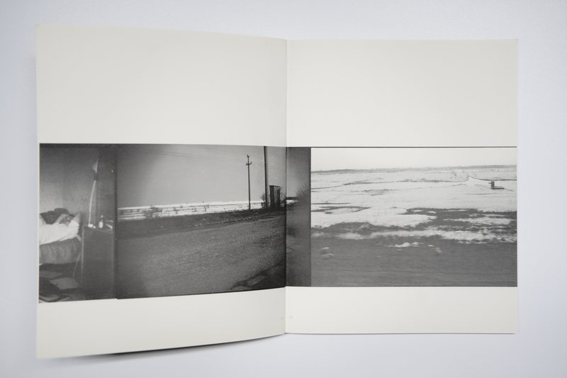 Page 6 of Marea Pată, 2010