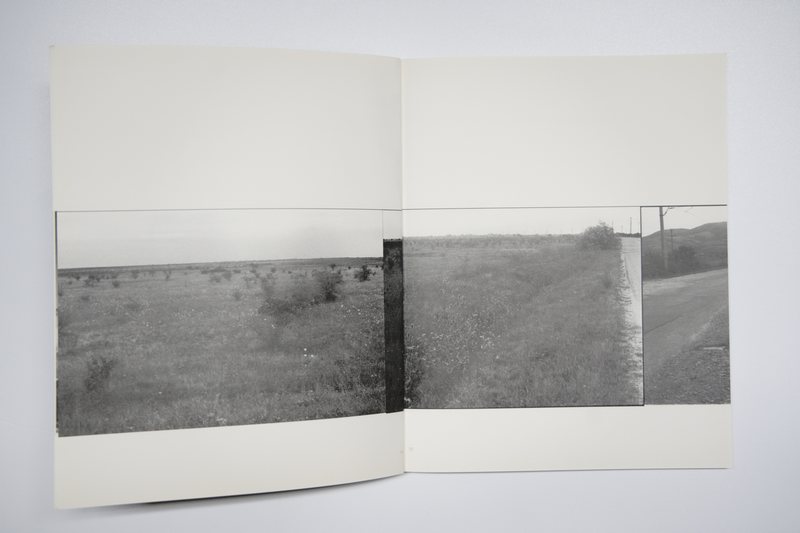 Page 7 of Marea Pată, 2010