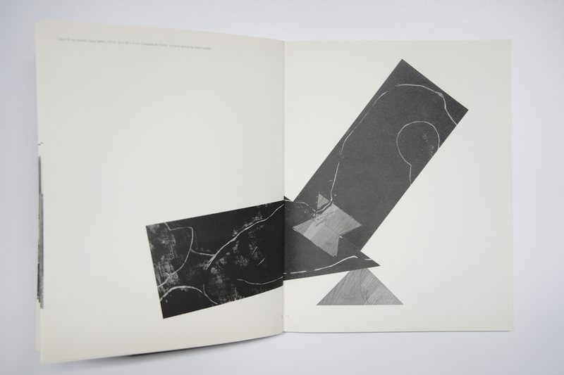 Page 8 of Marea Pată, 2010