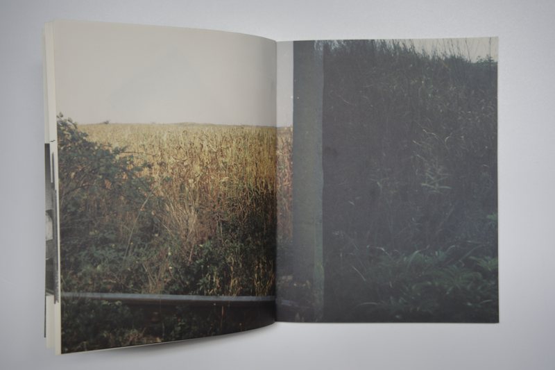 Page 9 of Marea Pată, 2010