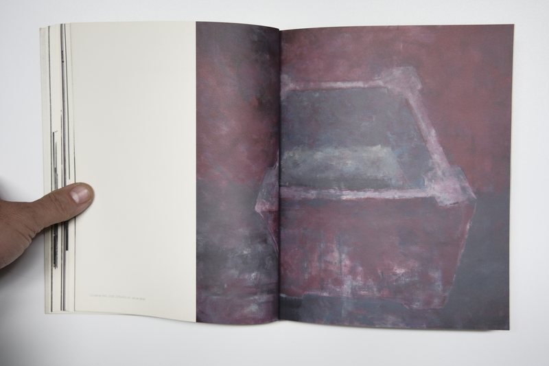 Page 12 of Marea Pată, 2010