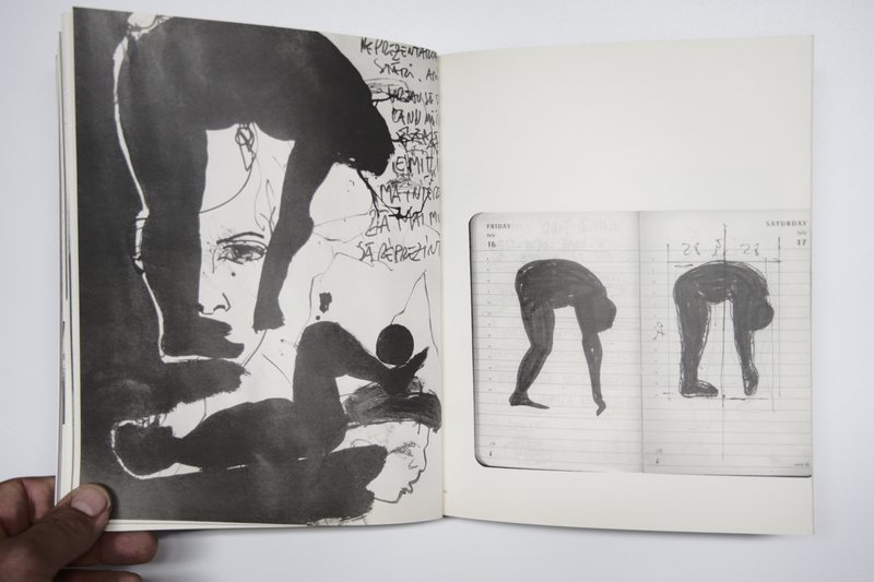 Page 13 of Marea Pată, 2010