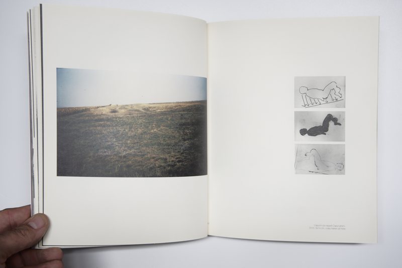 Page 14 of Marea Pată, 2010