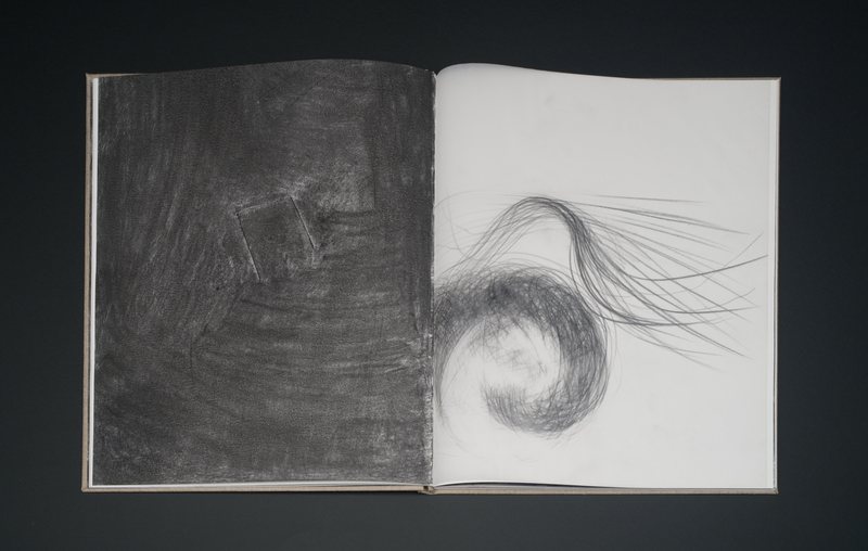 Exemplarul 2 · copy 2 — page 17 of |’retəʊpɪt |, 2012
