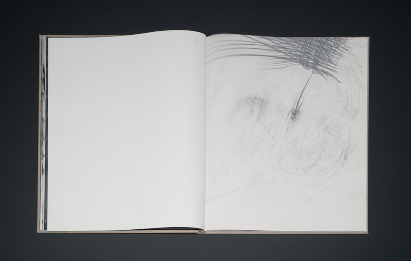 Exemplarul 2 · copy 2 — page 18 of |’retəʊpɪt |, 2012