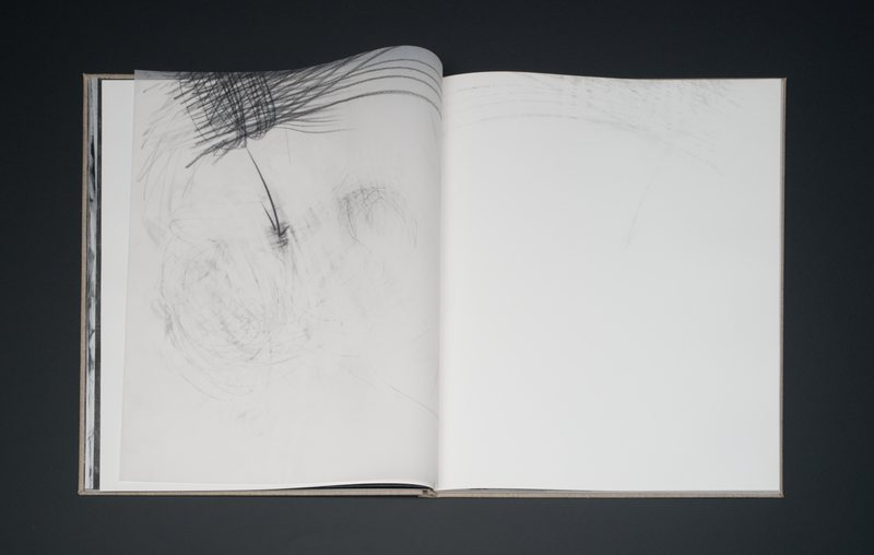 Exemplarul 2 · copy 2 — page 19 of |’retəʊpɪt |, 2012